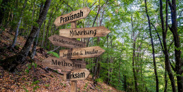 Wegweiser im Wald